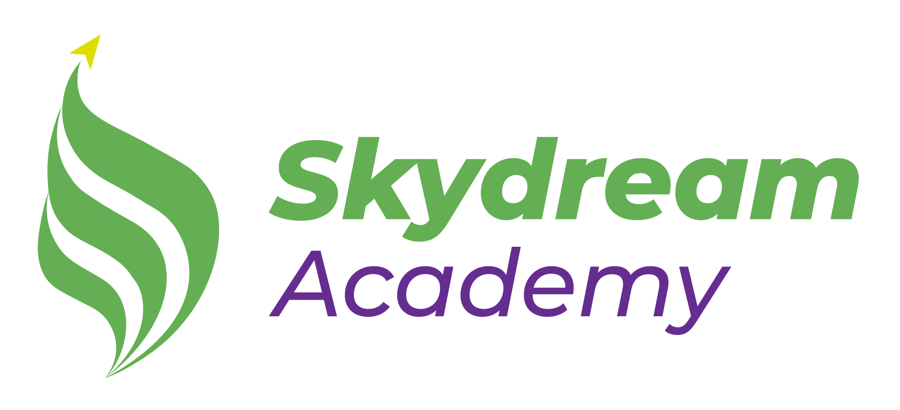 SKYDREAM ACADEMY