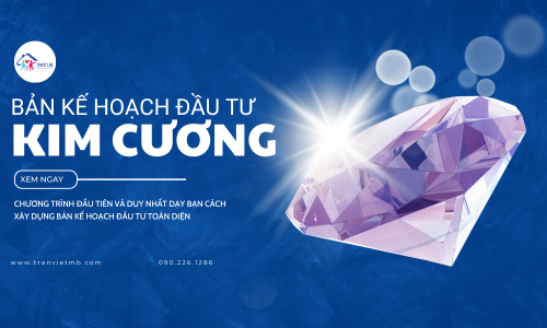 BẢN KẾ HOẠCH ĐẦU TƯ CHUYÊN NGHIỆP (DIAMOND PLAN)