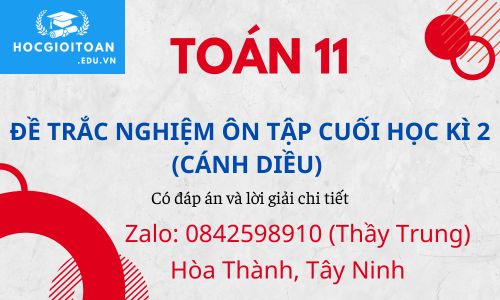 ĐỀ TRẮC NGHIỆM ÔN TẬP CUỐI HỌC KÌ 2 - TOÁN 11 (CÁNH DIỀU) (Có giải chi tiết)