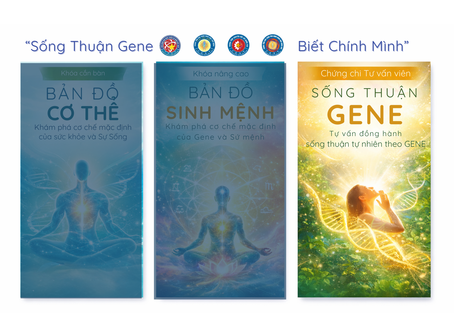 Bản đồ Sứ Mệnh - TƯ VẤN VIÊN Sống Thuận Gene (CHỨNG CHỈ: KH-STG-TV)