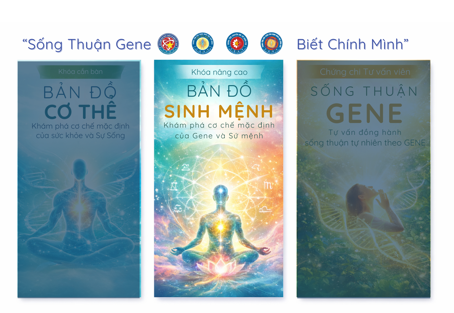 Bản Đồ Sinh Mệnh: Sống Thuận Gene Nâng Cao (Chứng Nhận: KH-STG-NC)