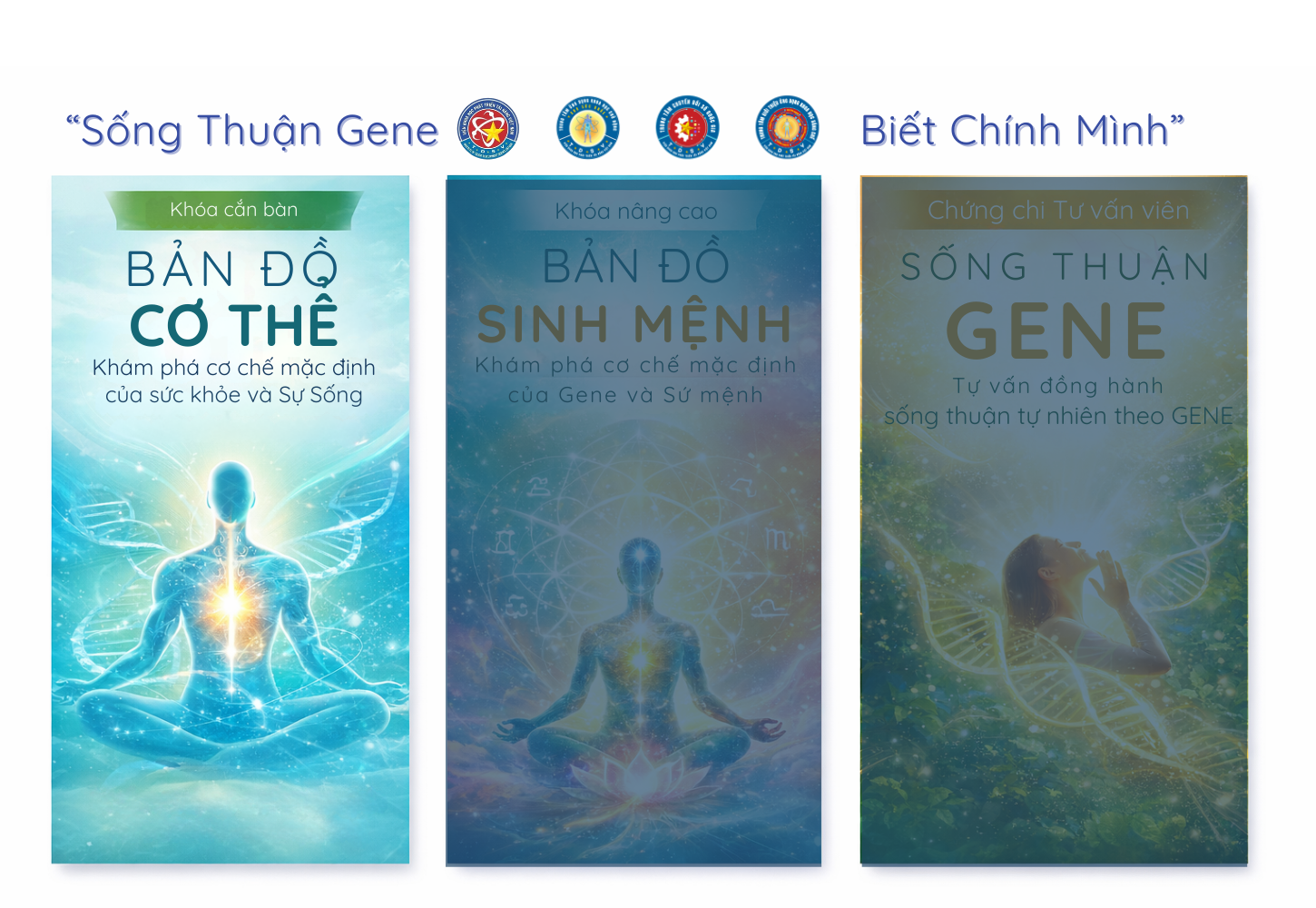 Bản Đồ Cơ Thể: Sống Thuận Gene Căn bản (Chứng Nhận: KH-STG-CB)