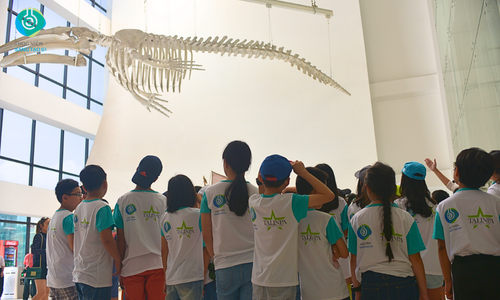 Mô hình hoạt động trải nghiệm thực tế