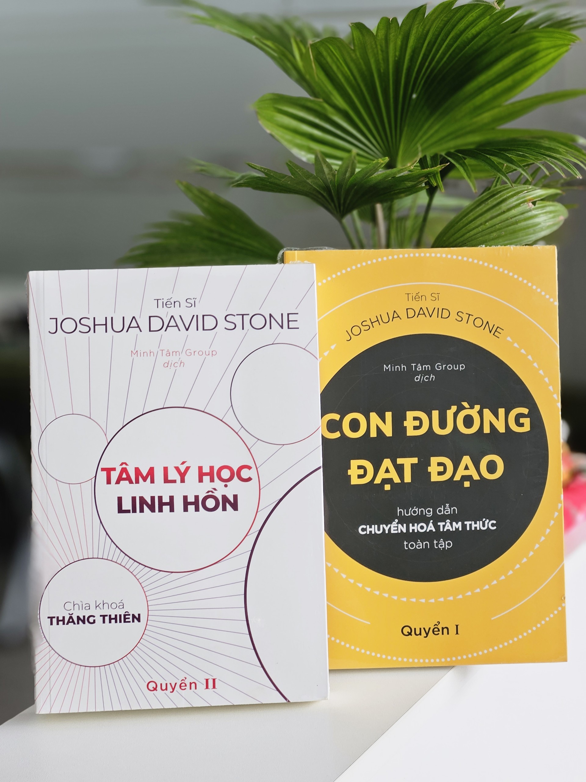 Nghe sách Joshua David Stone