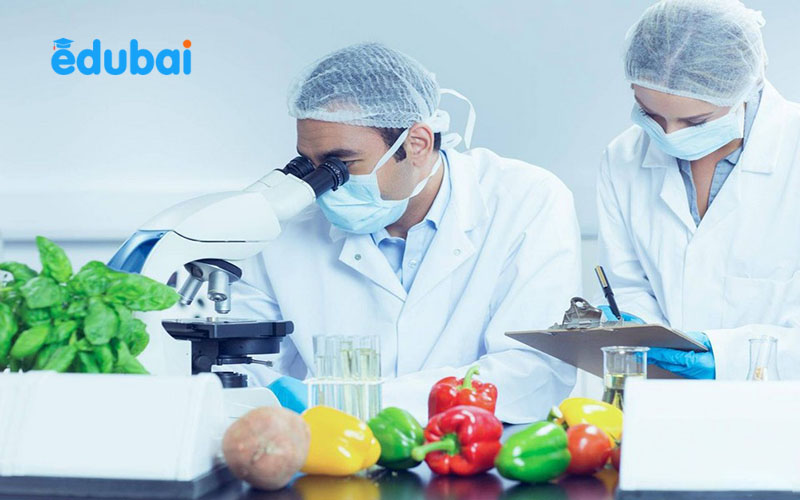 Dòng sản phẩm chế biến sẵn chưa được khai thác hiệu quả do thiếu nhân lực 