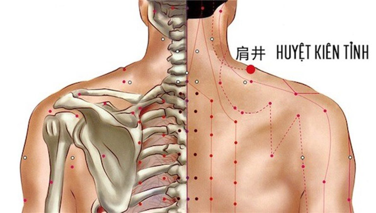 XOA BÓP BẤM HUYỆT - HUYỆT VỊ & CÁC KỸ THUẬT CƠ BẢN