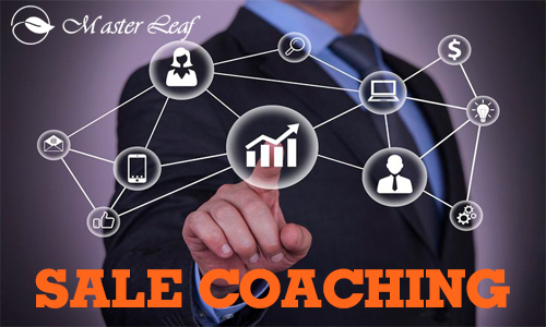 Chính sách bán hàng và hệ thống sản phẩm MASTER LEAF