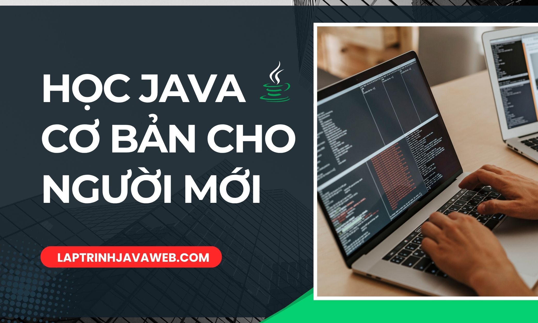 Học Java cơ bản cho người mới