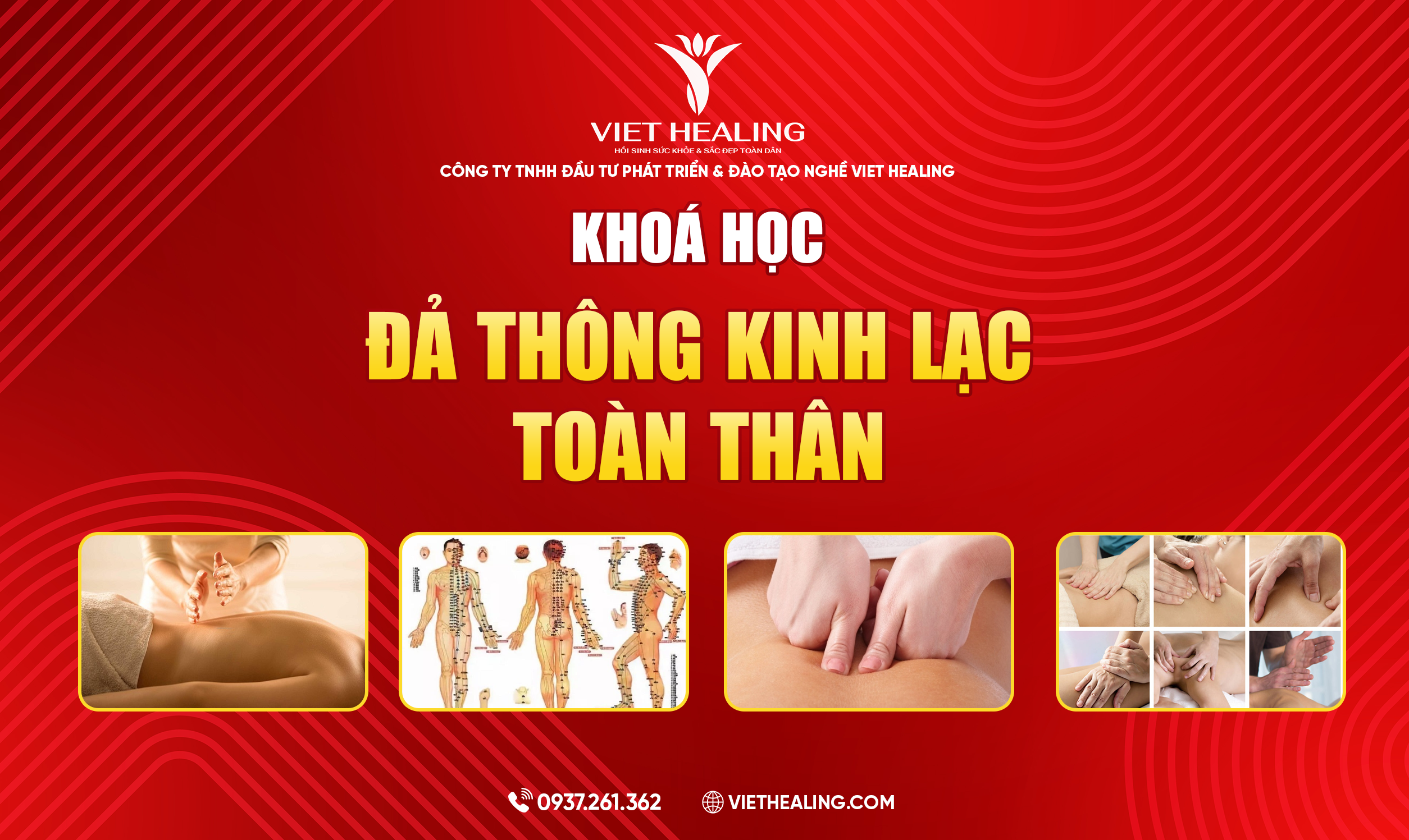 ĐẢ THÔNG KINH LẠC TOÀN THÂN