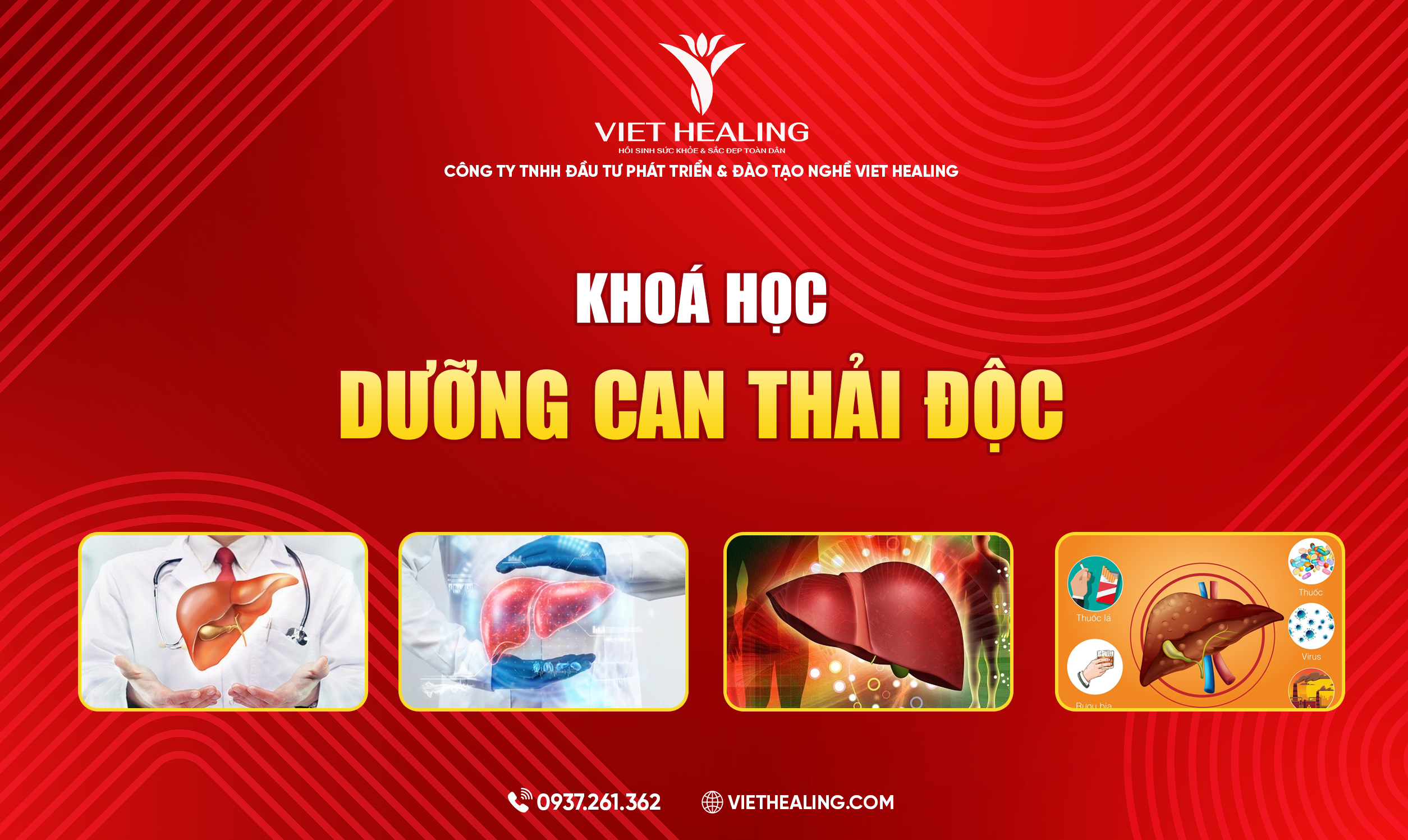 DƯỠNG CAN THẢI ĐỘC
