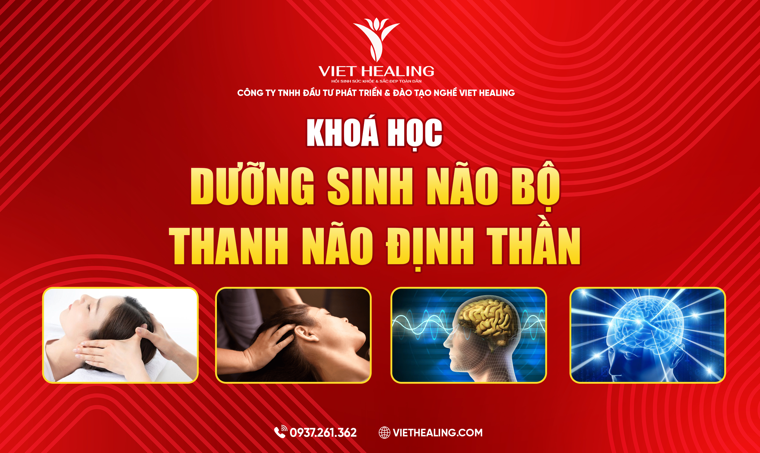 DƯỠNG SINH NÃO BỘ - THANH NÃO ĐỊNH THẦN