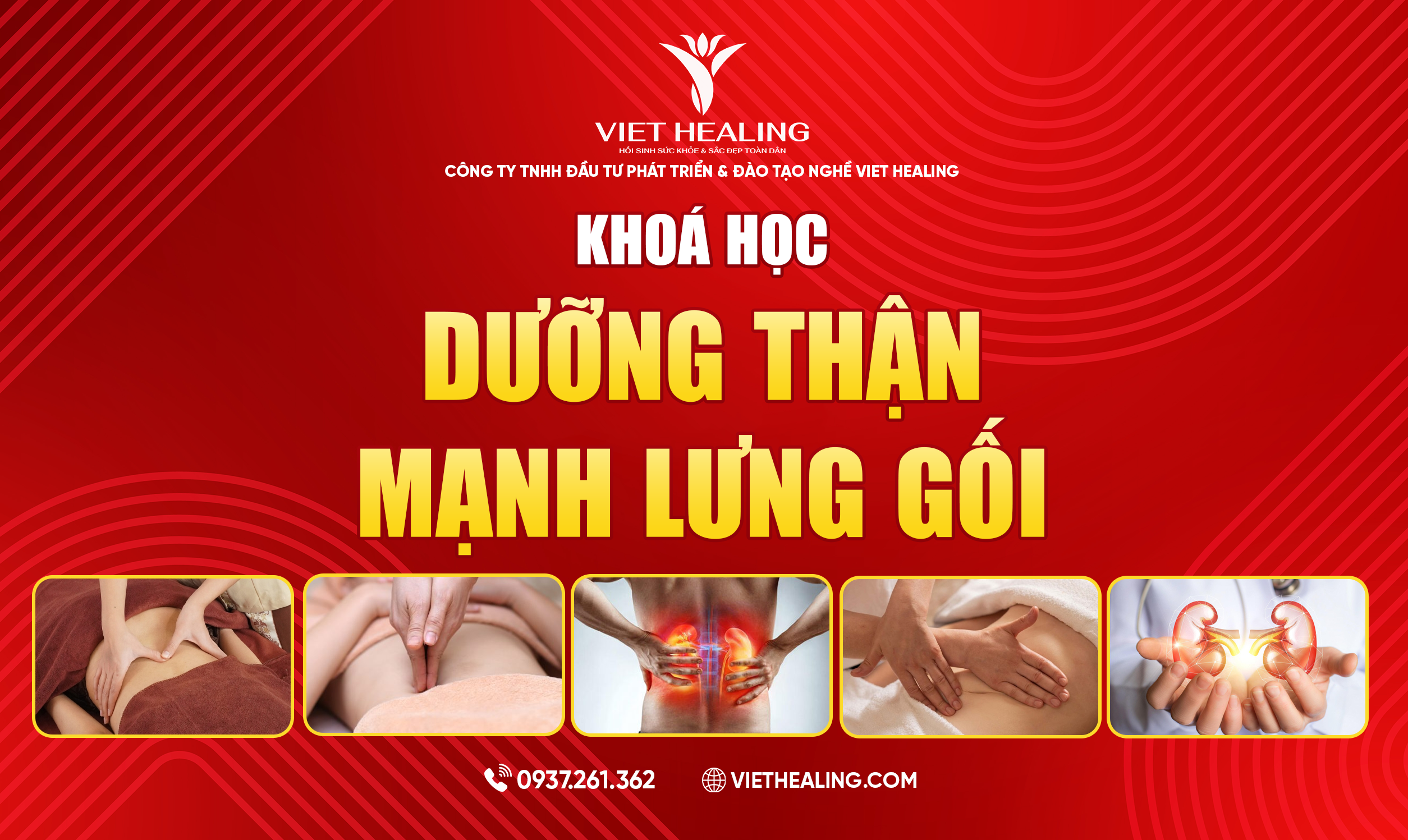 DƯỠNG THẬN MẠNH LƯNG GỐI