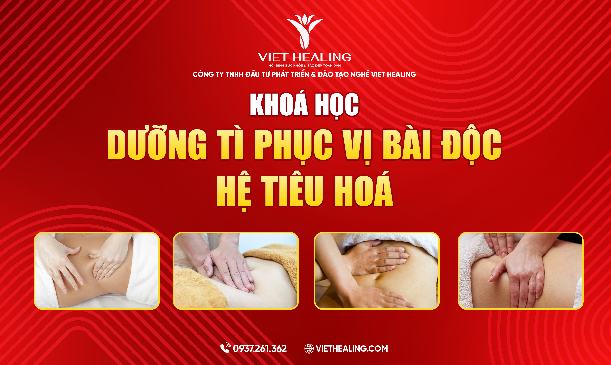 DƯỠNG TỲ PHỤC VỊ - BÀI ĐỘC HỆ TIÊU HOÁ