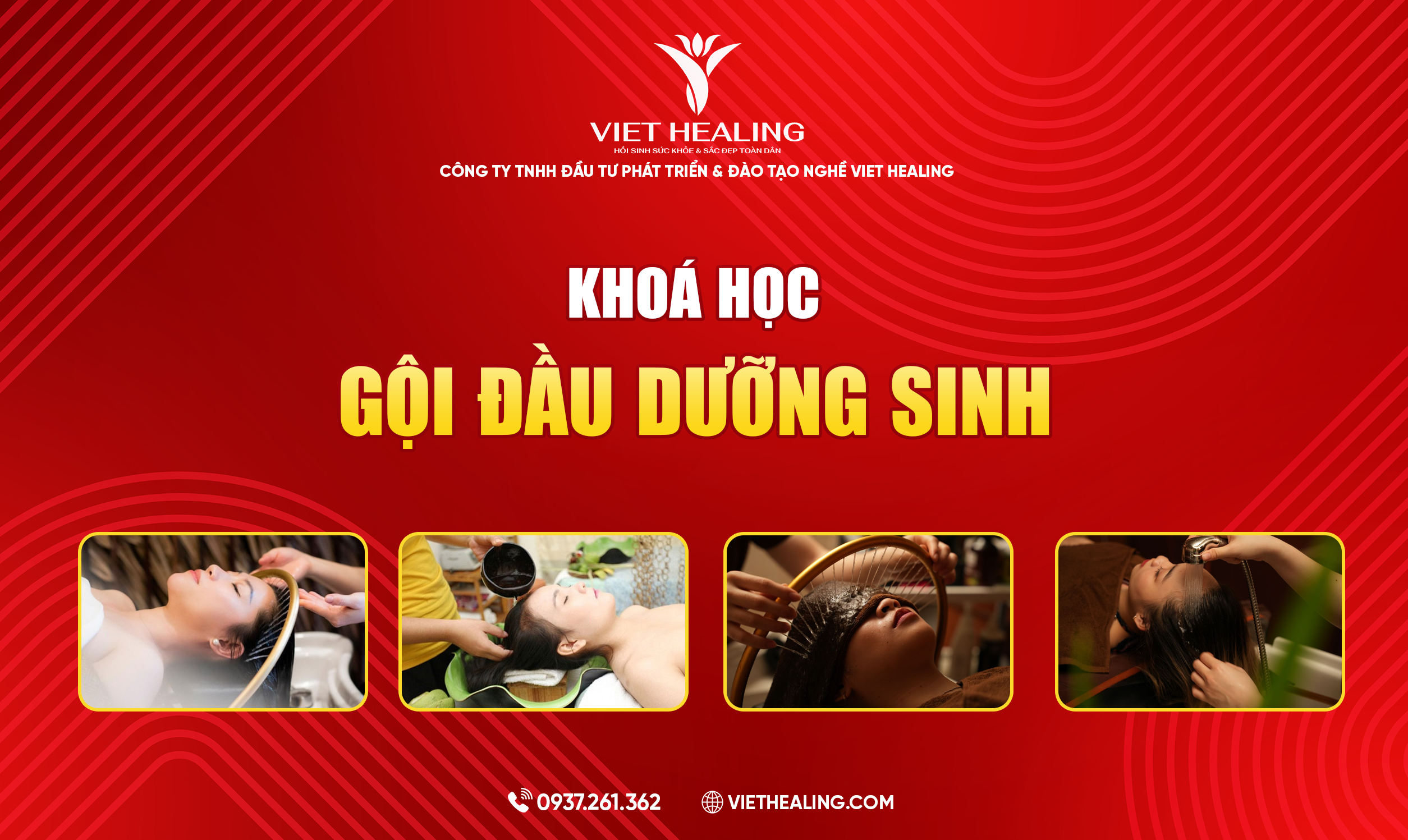 GỘI ĐẦU DƯỠNG SINH