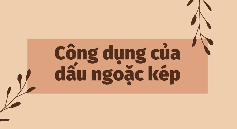 CÔNG DỤNG CỦA DẤU NGOẶC KÉP