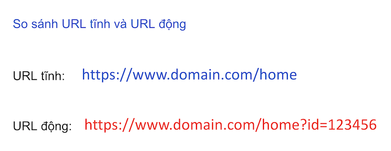 URL tĩnh và URL động