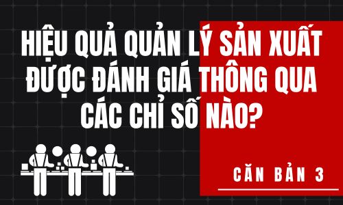 Hiệu quả quản lý sản xuất được đánh giá thông qua các chỉ số nào?