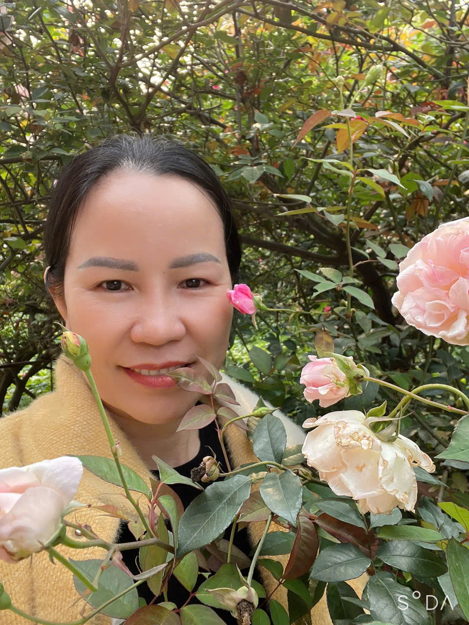 Nguyễn Thị Trang