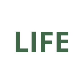 Lifetime Access Icon