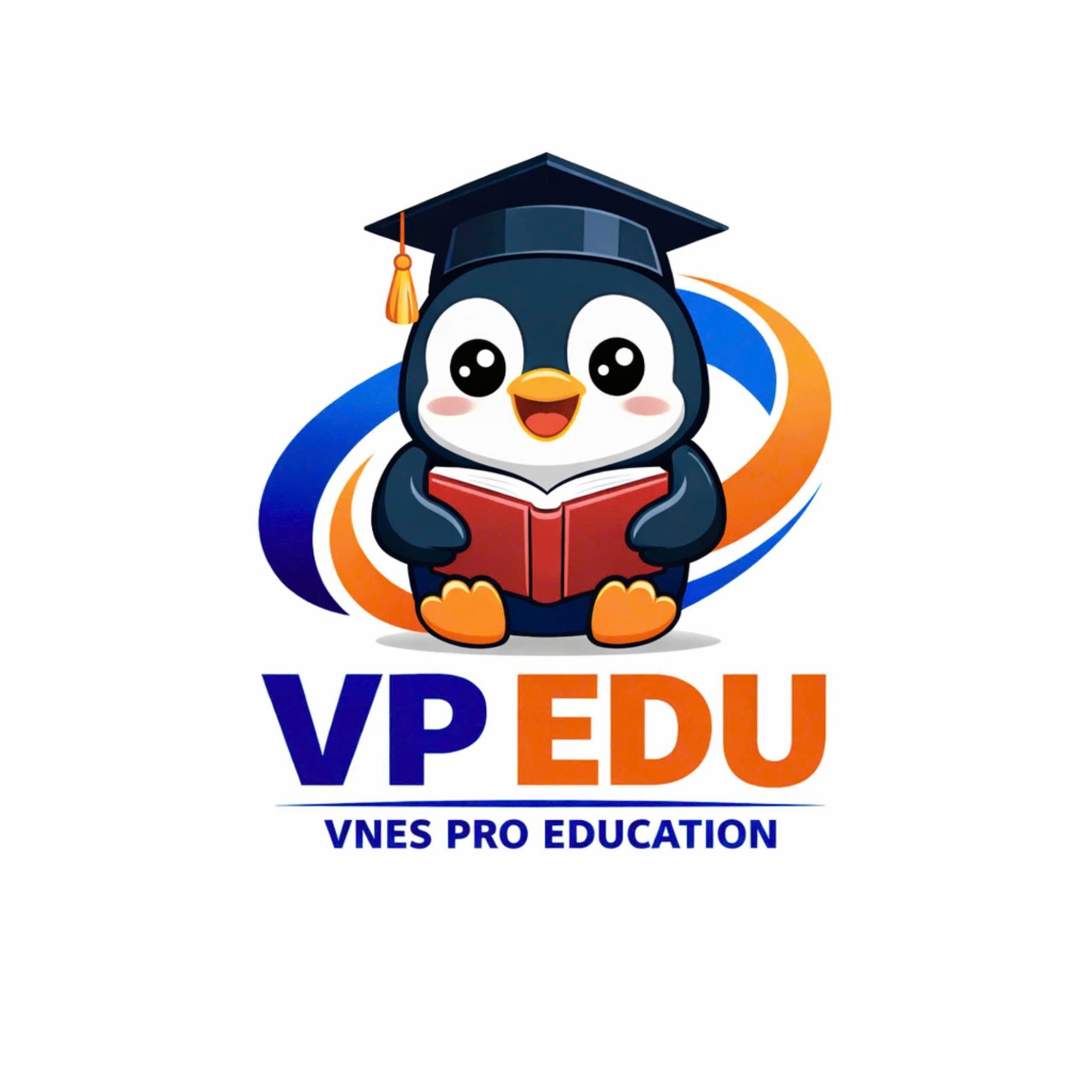 Logo VPEDU