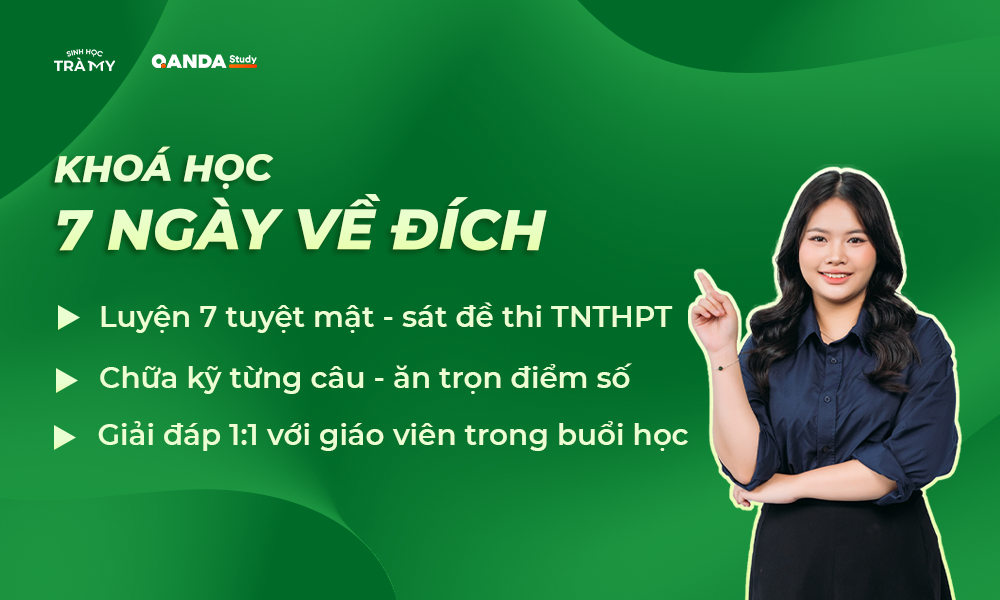 7 NGÀY VỀ ĐÍCH - SINH HỌC CÔ TRÀ MY 2025