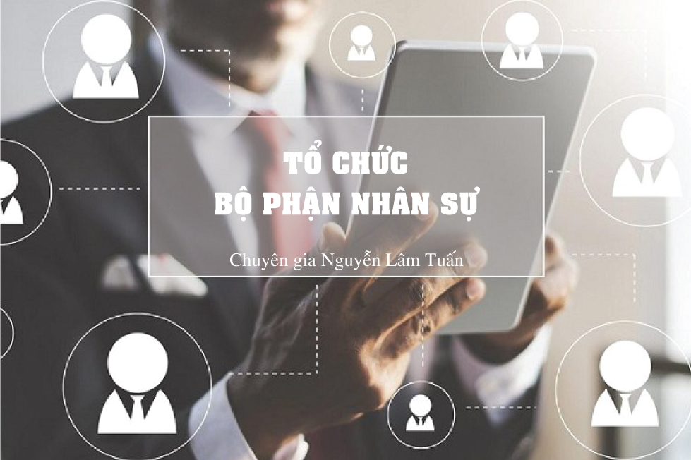 Tổ Chức Bộ Phận Nhân Sự