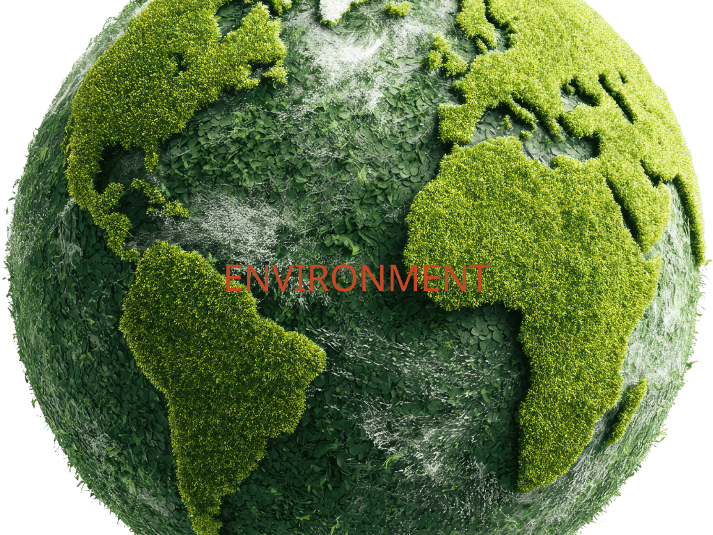 ENVIRONMENT