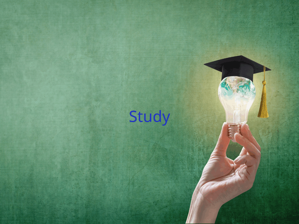 Study