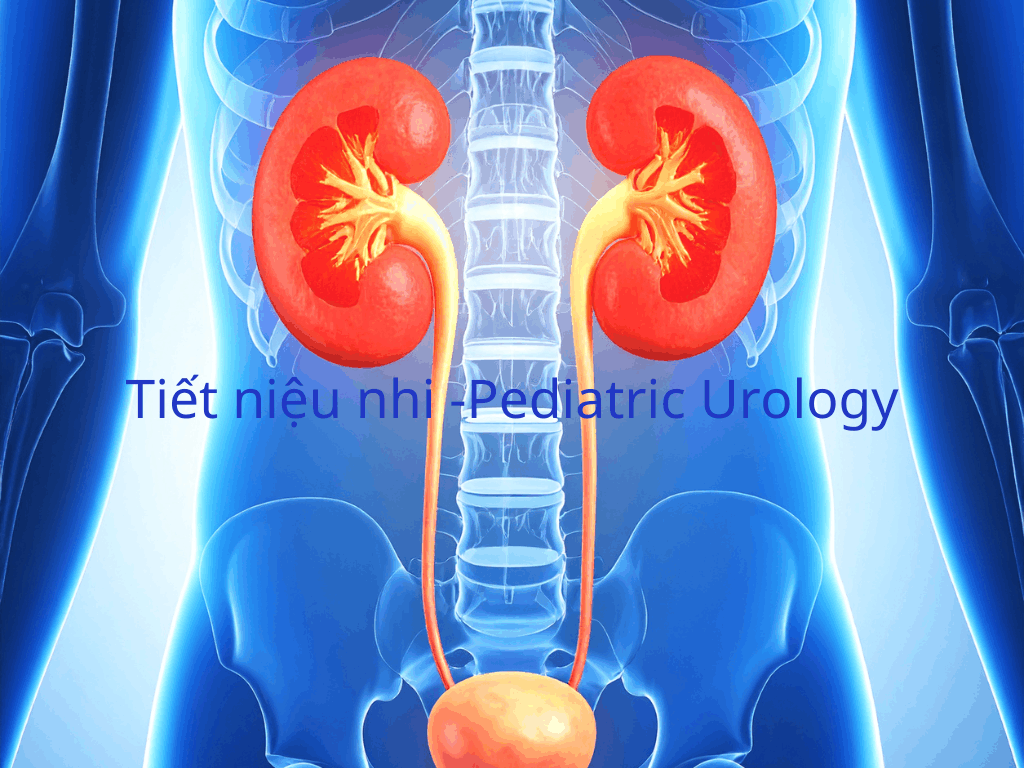 Tiết niệu nhi -Pediatric Urology