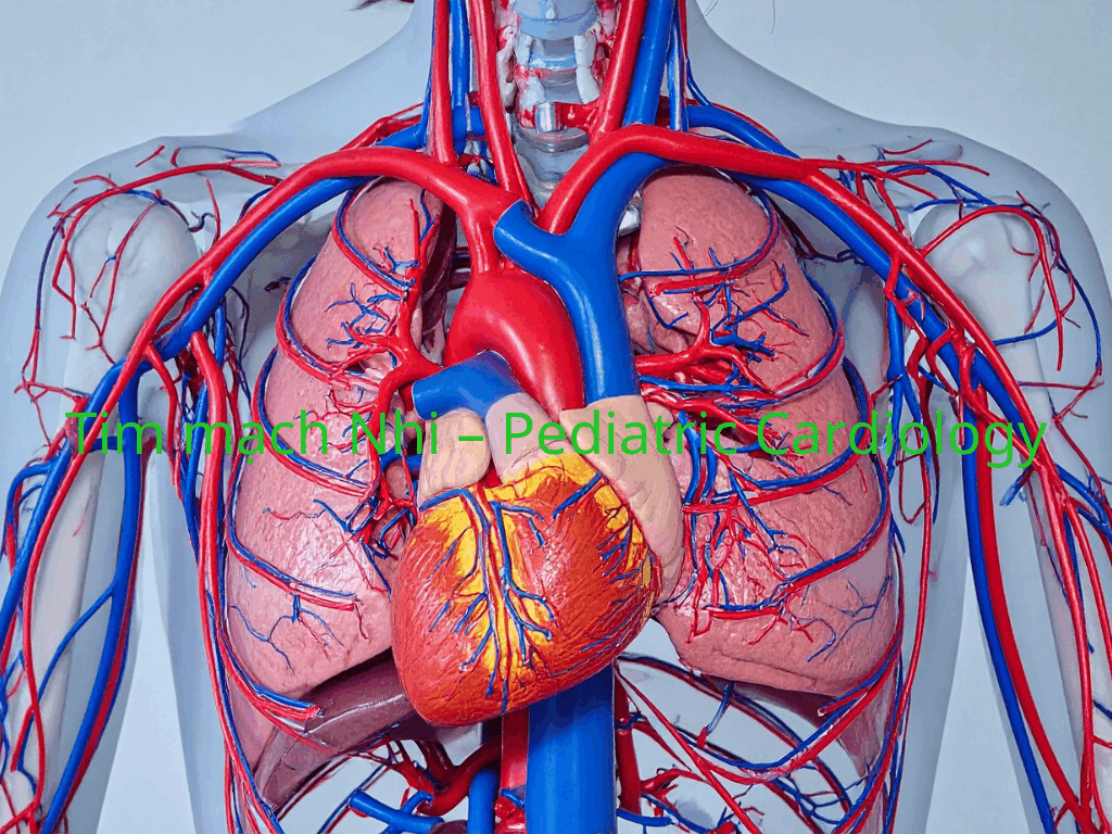 Tim mạch Nhi – Pediatric Cardiology