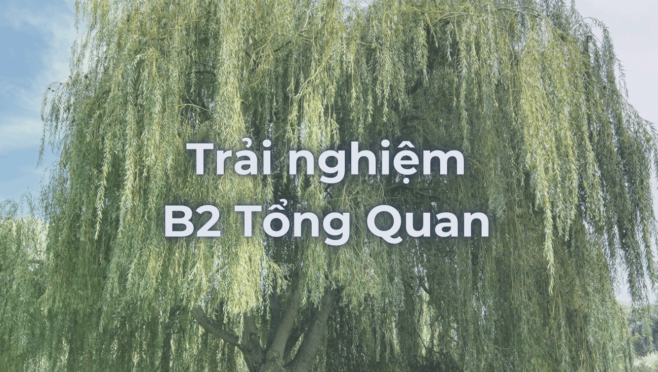 Trải nghiệm B2