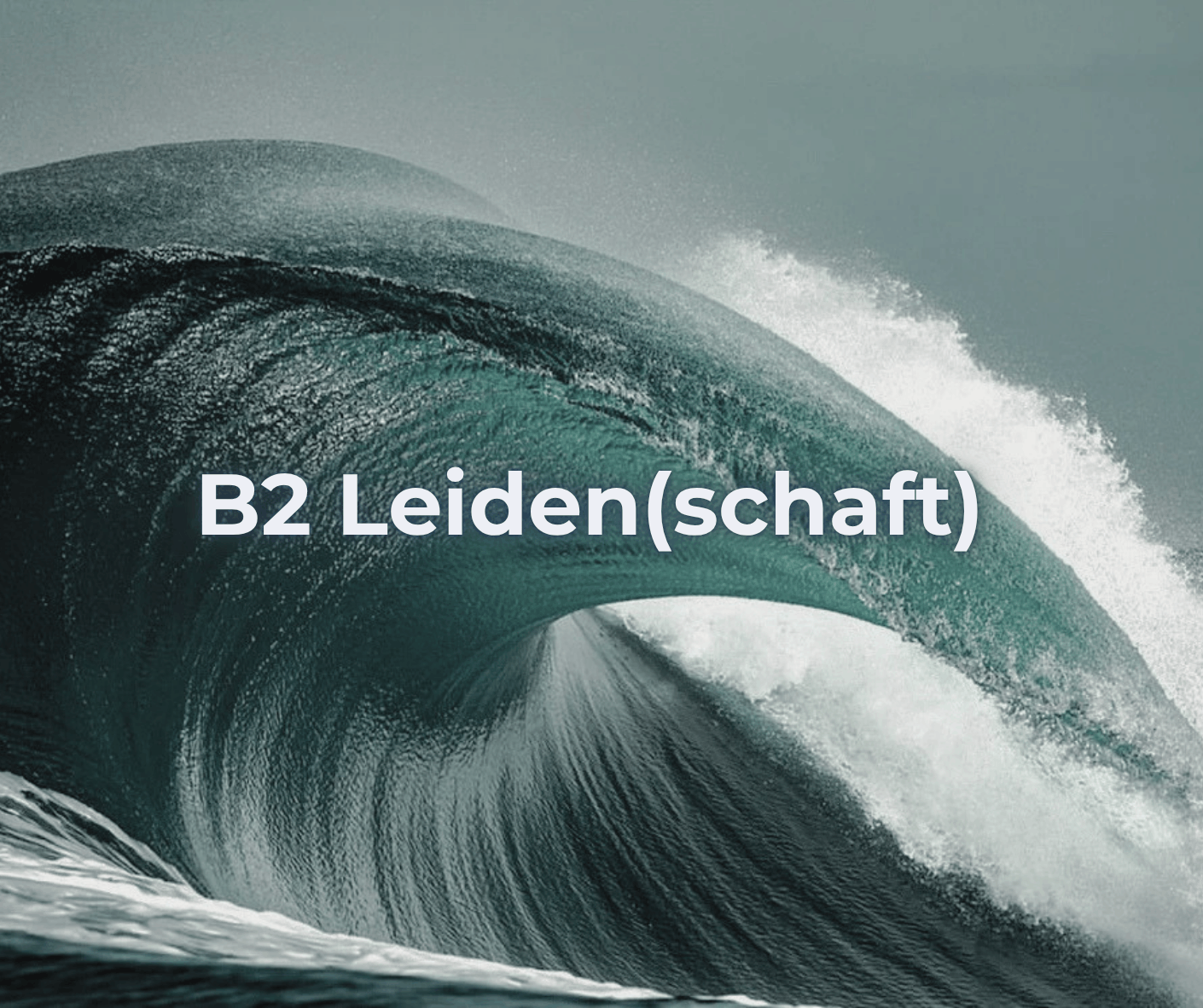 B2 Leiden(schaft)