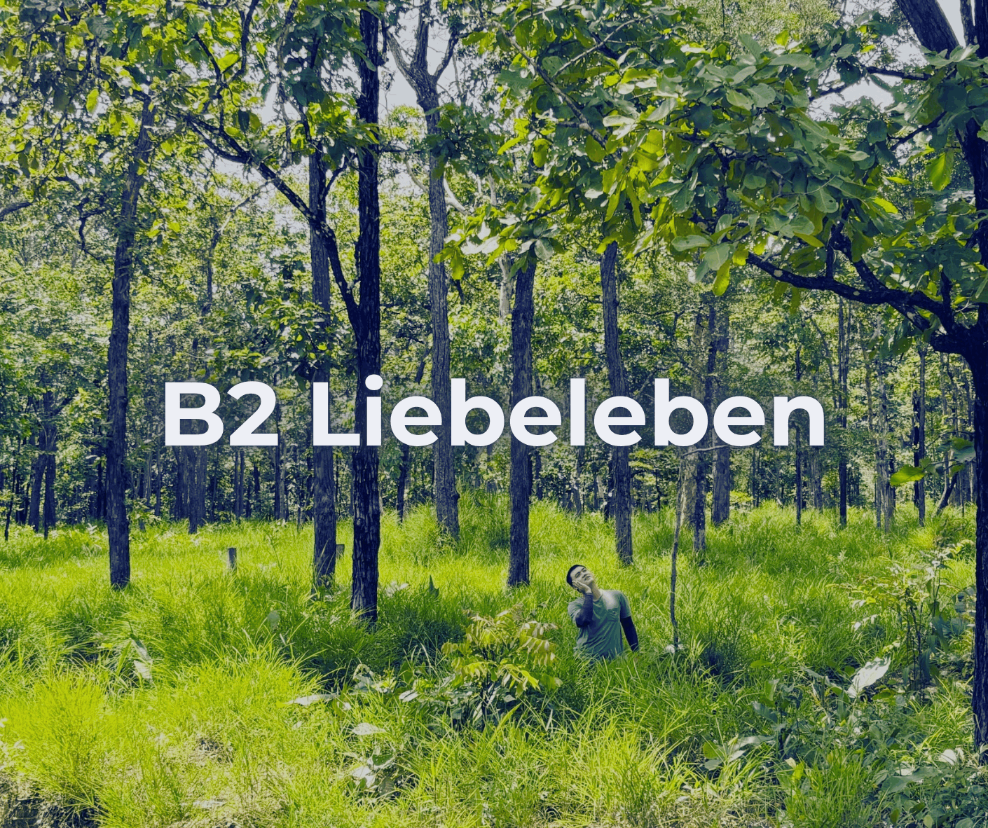 B2 Liebeleben